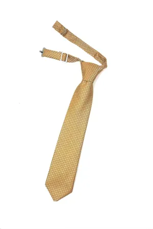 Gold Regal Kids Necktie