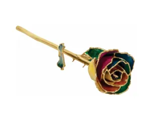 Rainbow Colored Rose with 24K Gold Trim